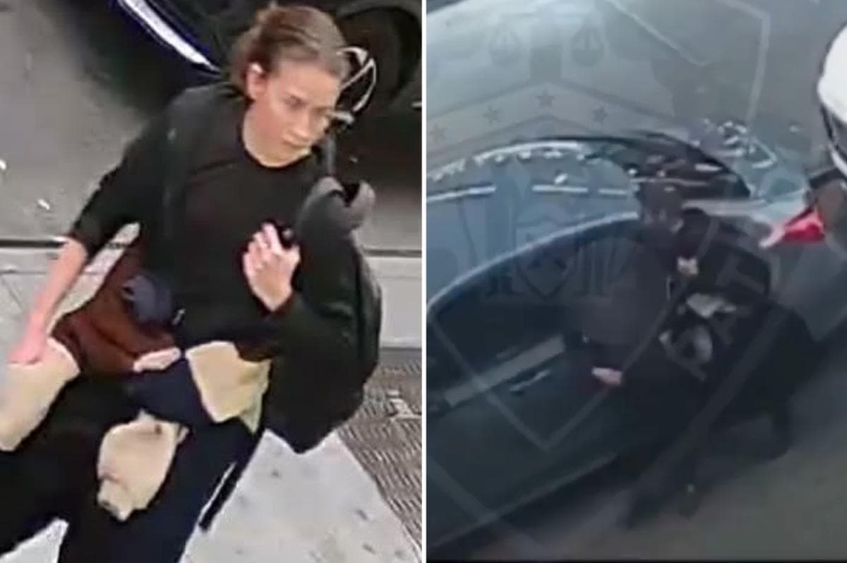 Russian lunatic who allegedly stabbed 2 Jewish men with syringe slapped with federal hate crime charges