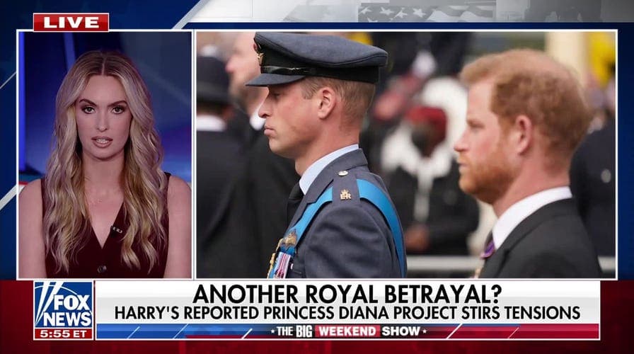 Prince Harrys reported Princess Diana movie project sparks controversy